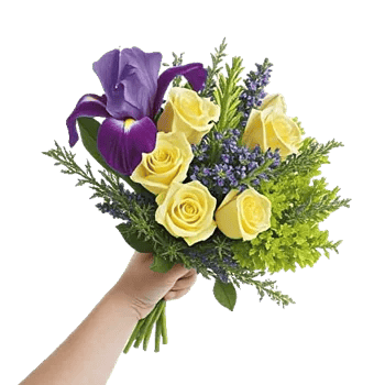 Ivory Blossom Radiance