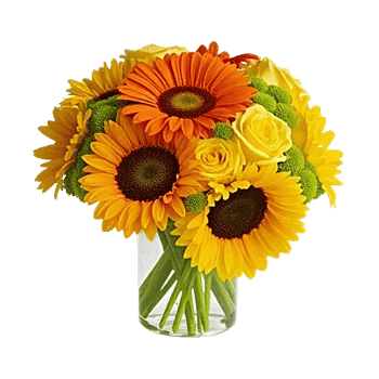Petal Harmony Bliss