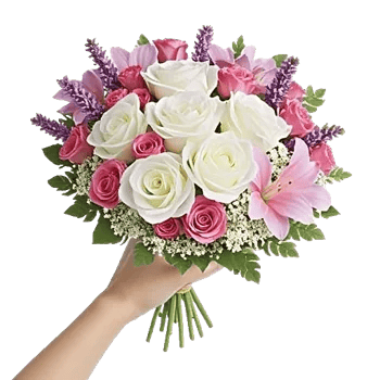 Pink Pastel Roses