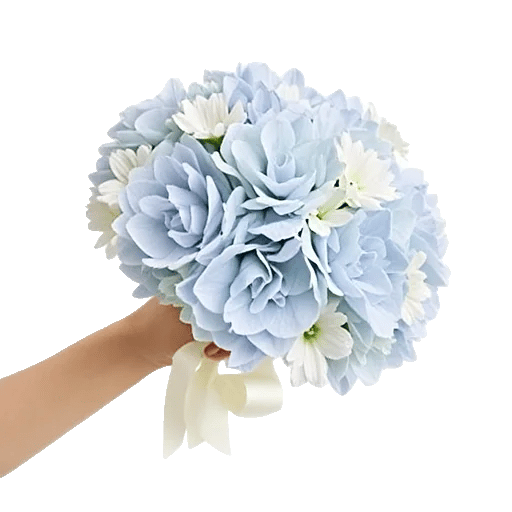 Serene Petal Harmony