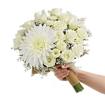 Ivory Garden Grace