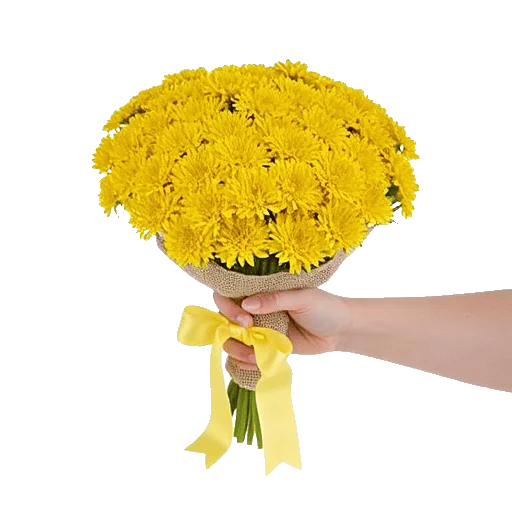 Daisy Meadow Spread
