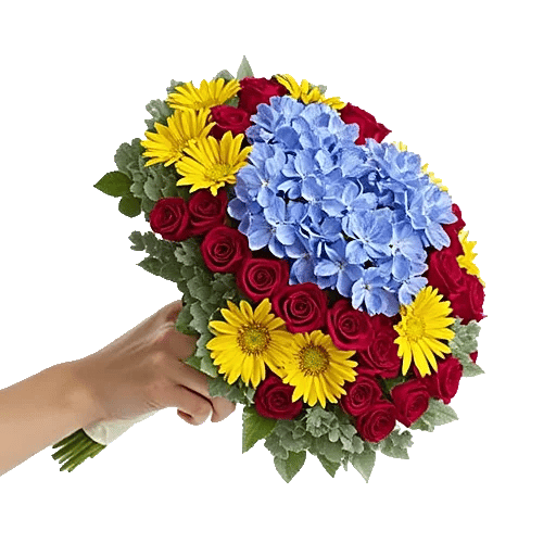 Serene Petal Harmony