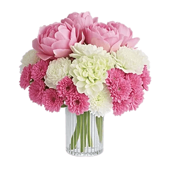 Petal Radiance Bliss