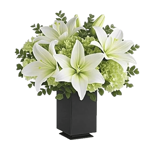 Ivory Blossom Radiance