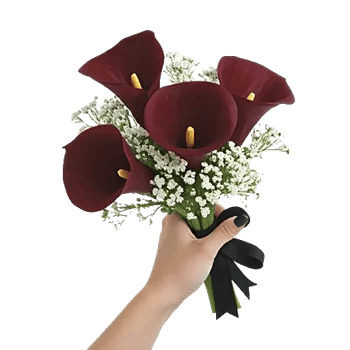 Elegant Calla Lilies