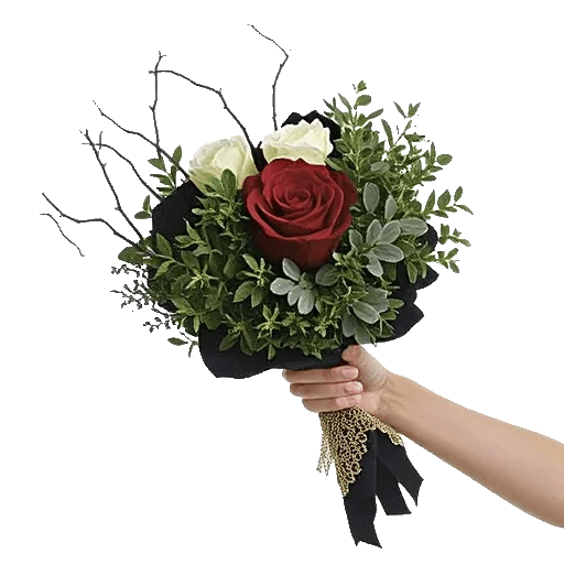 Crimson Rose Elegance