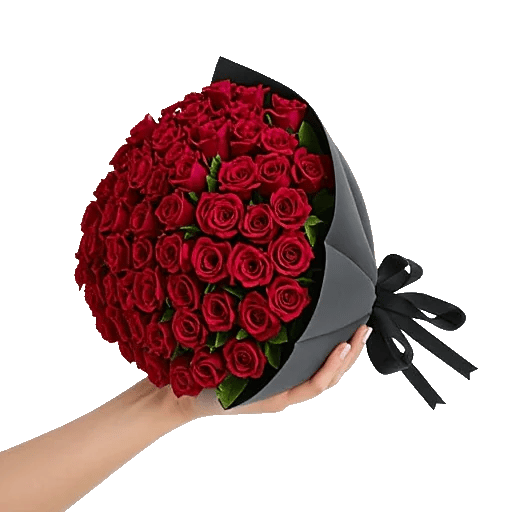 Crimson Rose Elegance
