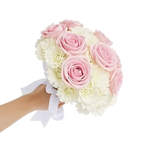 Pastel Pink Roses