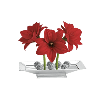 Crimson Lily Glow