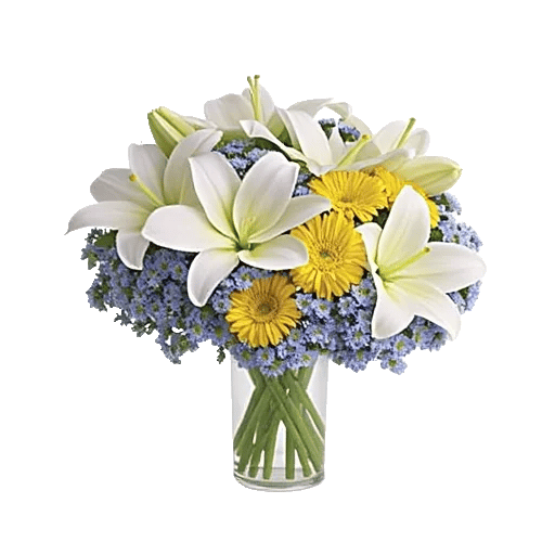 Blooming Serenity Display