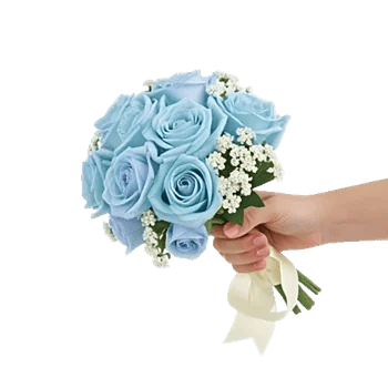 Elegant Blue Roses