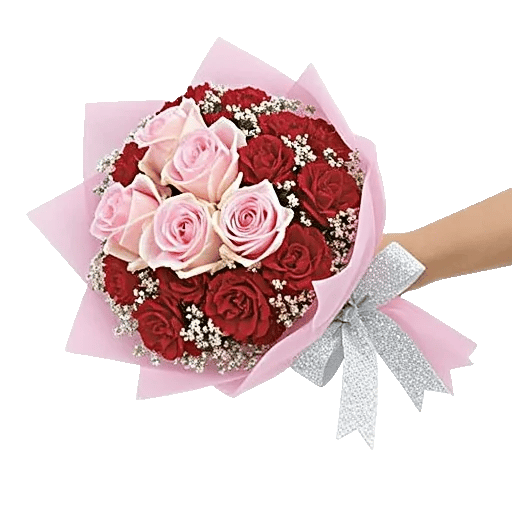 Pastel Pink Roses