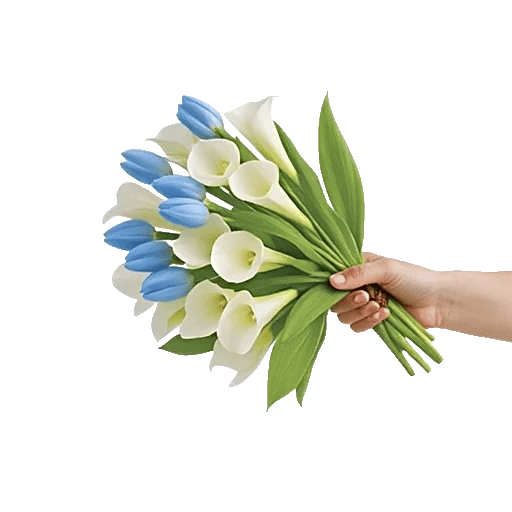 Elegant Calla Lilies