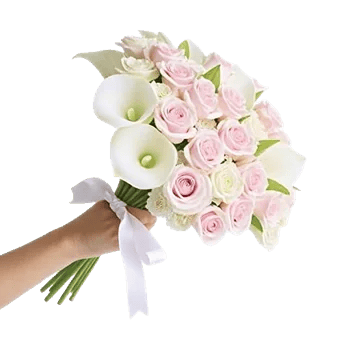 Elegant Calla Lilies