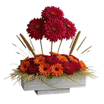 Radiant Bloom Cascade