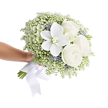 Ivory Blossom Radiance