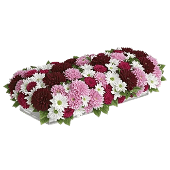 Radiant Bloom Cascade