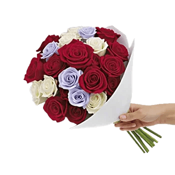 Crimson Rose Elegance