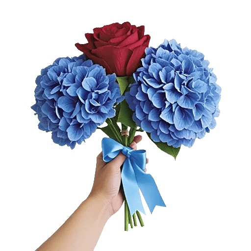 Crimson Rose Elegance