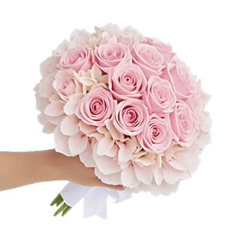 Pastel Pink Roses