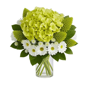 Emerald Bloom Cascade