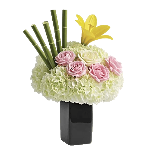 Ivory Blossom Radiance