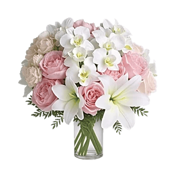 Orchid Bloom Cascade