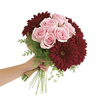 Blushing Rose Symphony