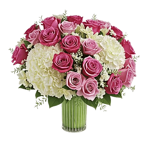 Ivory Blossom Radiance