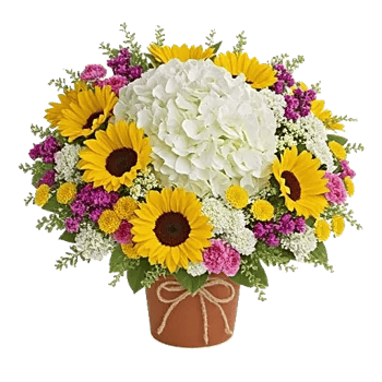 Serene Petal Harmony