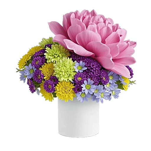 Petal Radiance Bliss