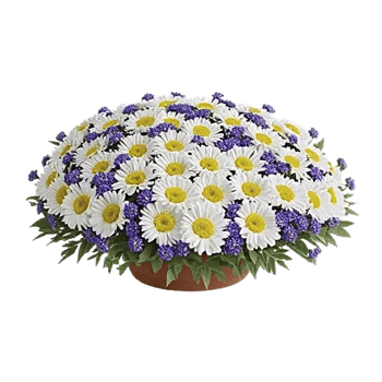 Blush Romantic Centerpiece