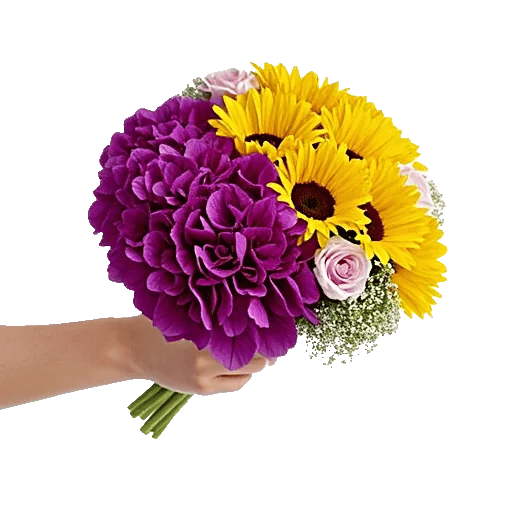 Serene Petal Harmony