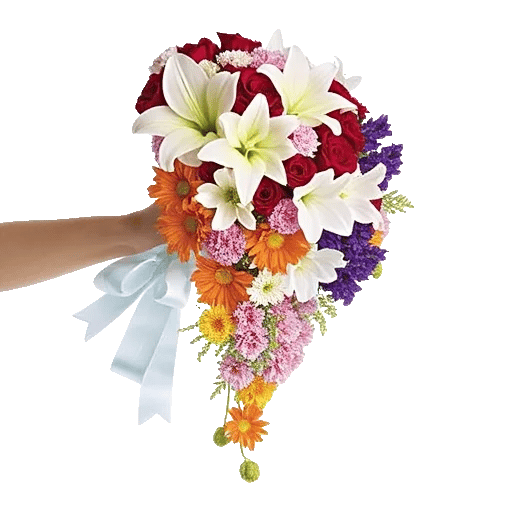 Delicate Petal Cascade