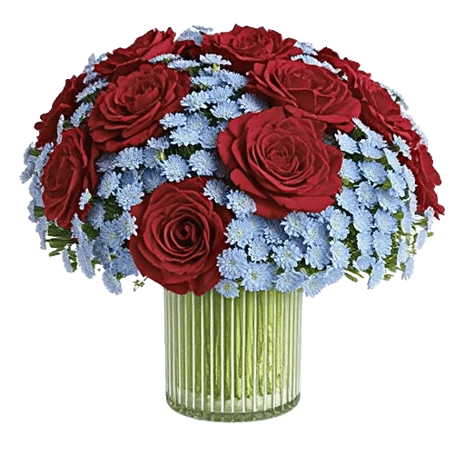 Petal Radiance Bliss