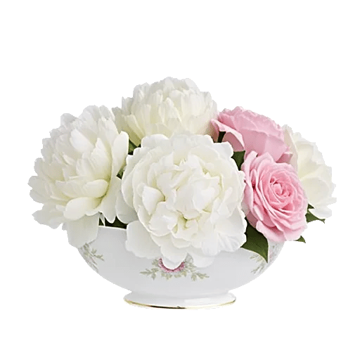 Peony Petal Harmony