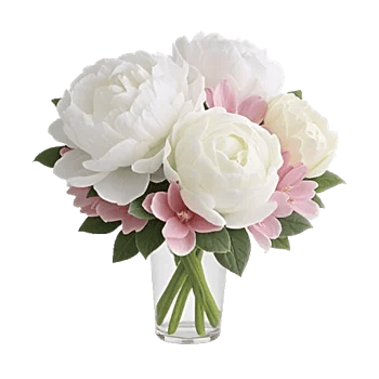 Ivory Blossom Radiance