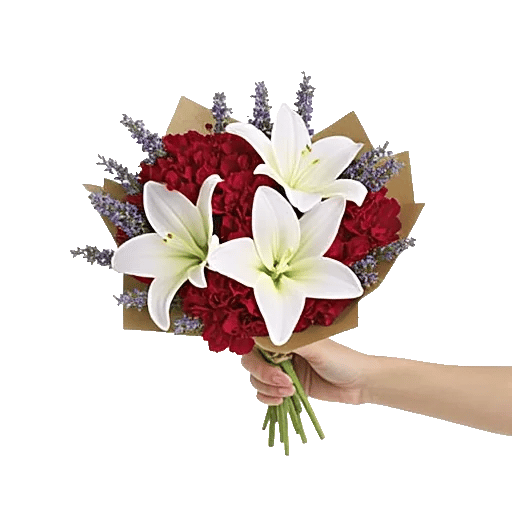 Serene Petal Harmony