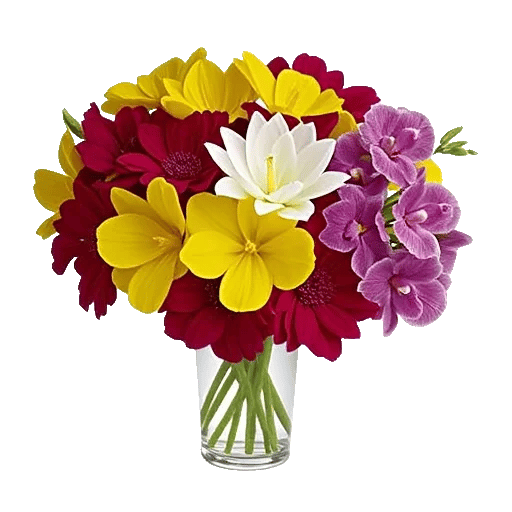 Petal Radiance Bliss