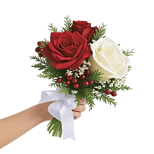 Crimson Rose Elegance