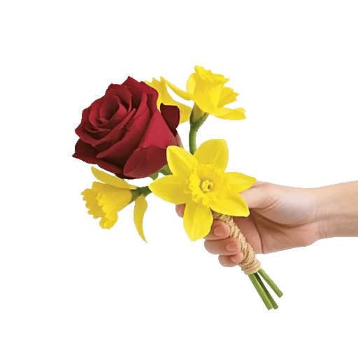 Crimson Rose Elegance