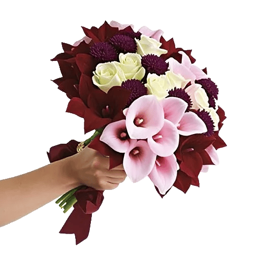 Elegant Calla Lilies