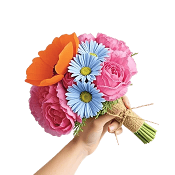 Petal Radiance Bliss