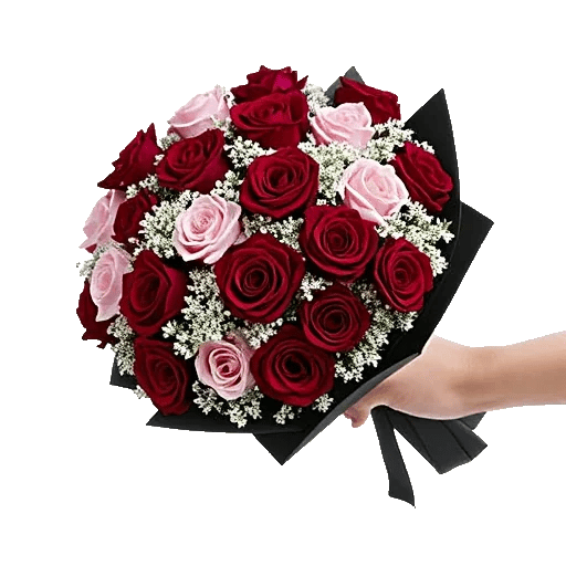 Crimson Rose Elegance