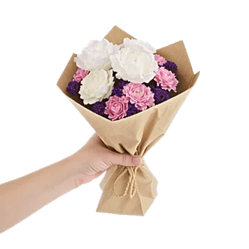 Peony Petal Harmony