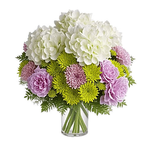 Ivory Blossom Radiance