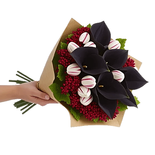 Elegant Calla Lilies