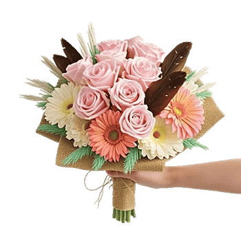 Pastel Pink Roses