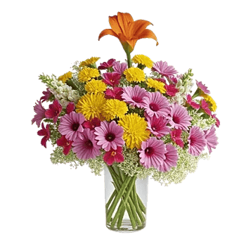 Graceful Lily Display